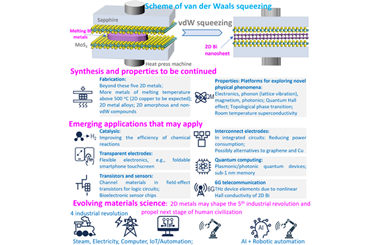 Flat and fabulous: Squeezing elemental metals into the 2D realm 2025.100794